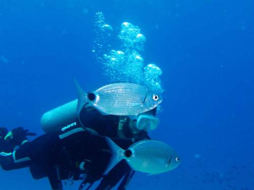 Olympos Diving Center
