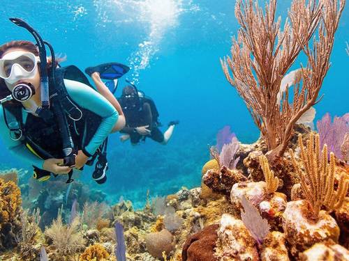 Dive Punta Cana