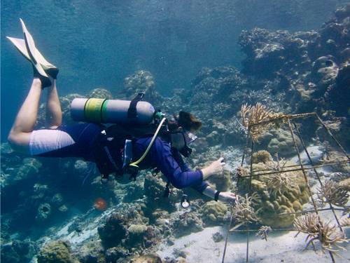 Best Dives Pvt Ltd