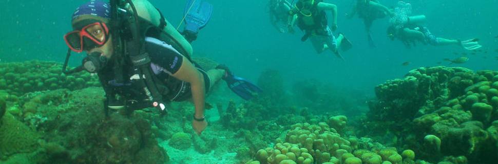 Dive Fair Helen