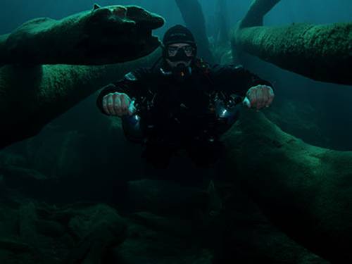 Pancora Diving