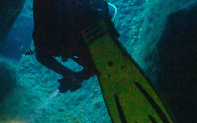 Diving in Malta: Wrecks, Caves, and Honest Blue Water