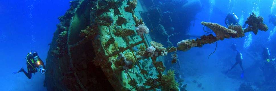 Aqua Dive Paradise
