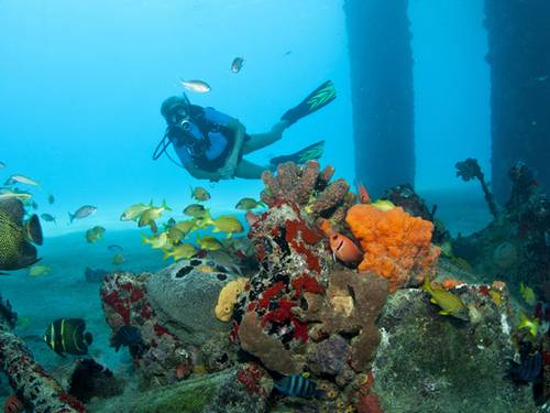 Cane Bay Dive Shop, Inc.