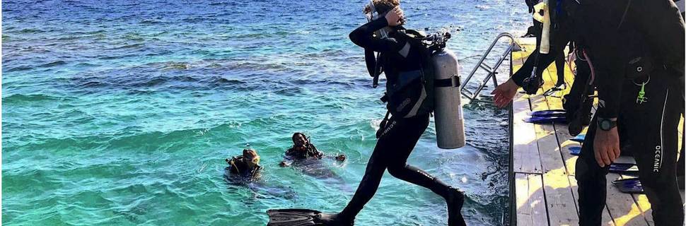 Giant Stride Diver