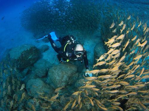 ONE TWO DIVE