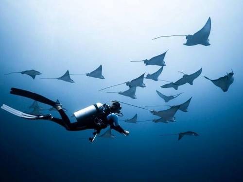Submaldives