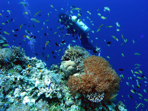 Philippine Fun Divers, Inc.