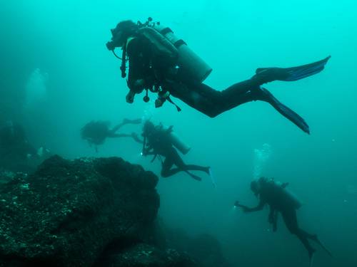 Summer-Salt Dive Center