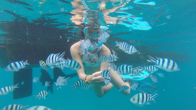 Coral Grand Divers - Koh Tao PADI Career Development Center