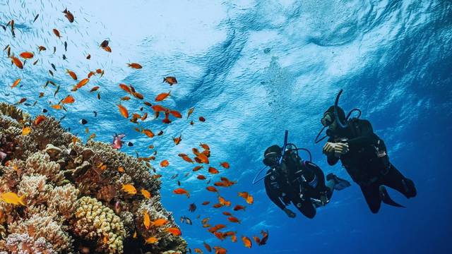 Piano Diving Club