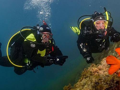 Dive and Sea Sports