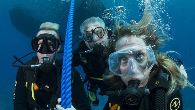 Divers United (Elite Diving)