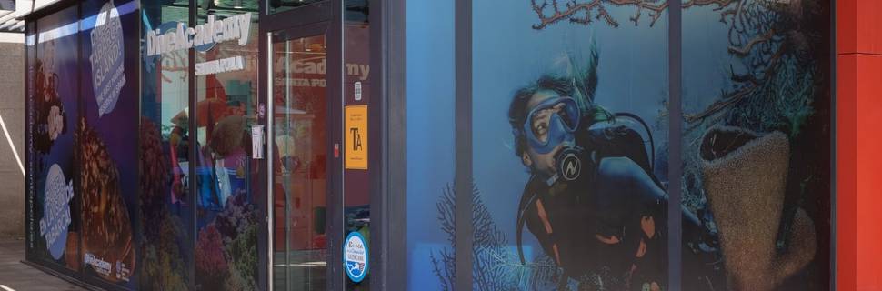 Dive Academy Santa Pola, bucear en Tabarca