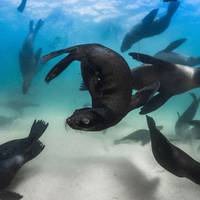 ProDive Scuba Diving Centre Plettenberg Bay