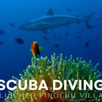 Euro-Divers Club Med Finolhu Villas