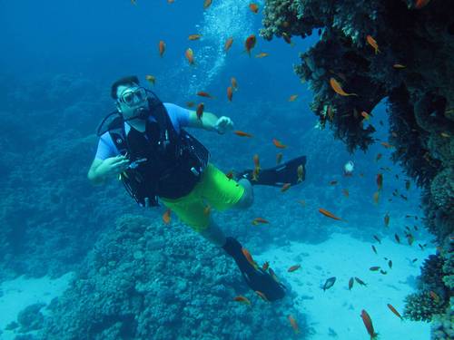 Tauchen Marsa Alam - Deutsche Tauchschule von Padi, Cmas, Ssi.