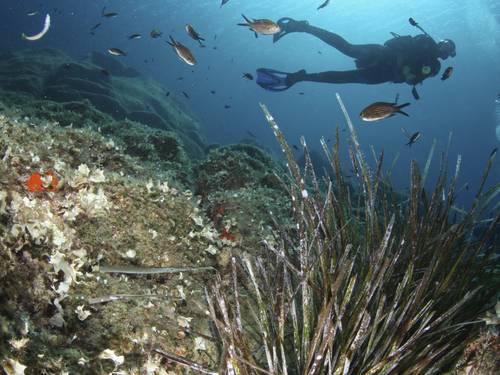 Liamis Dive Centre