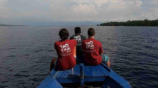 Two Fish Divers Amed
