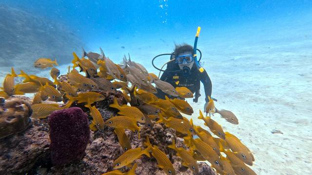 XICO DIVE CENTER