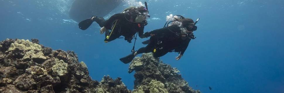 Go Divers