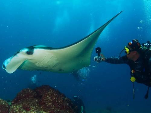 Niva Dhigali Maldives