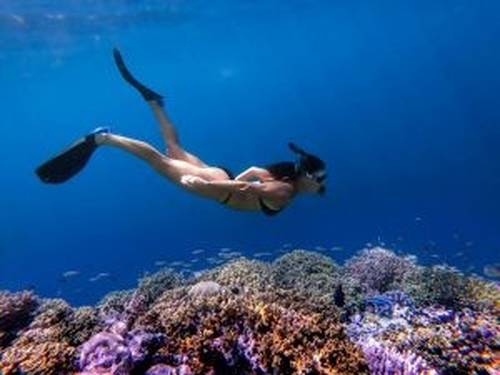Pullman Suvadiva Diving Center