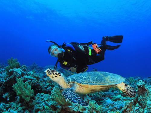 Cozumel Scuba Diving
