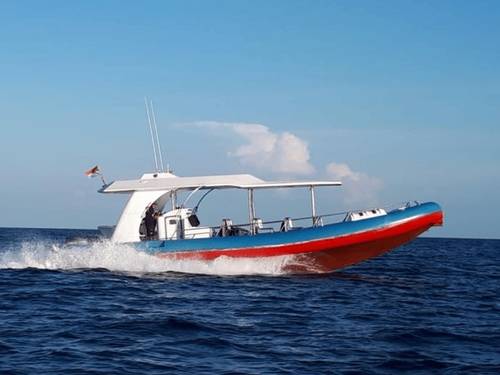 CN DIVE KOMODO