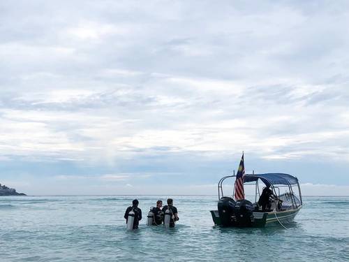 Seahorse Diver SDN BHD