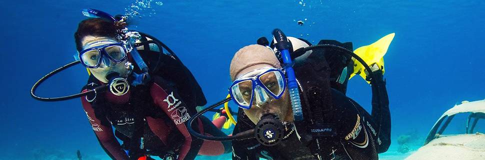 Neel Diving