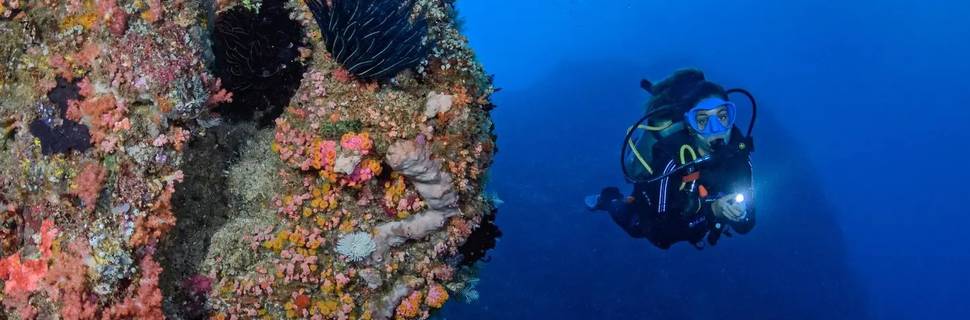 Blue Marlin Dive Lombok