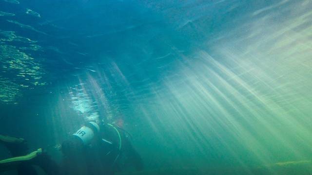 Rainforest Scuba