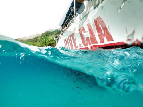 Dive & Cia