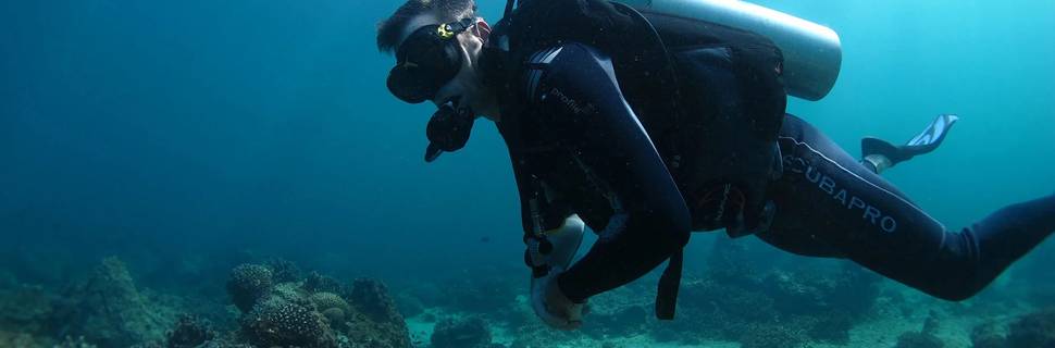 Sheesa Beach Dive Centre