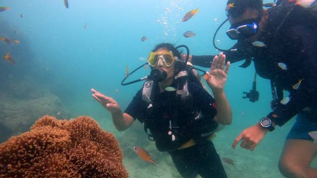 Blue Corals Dive