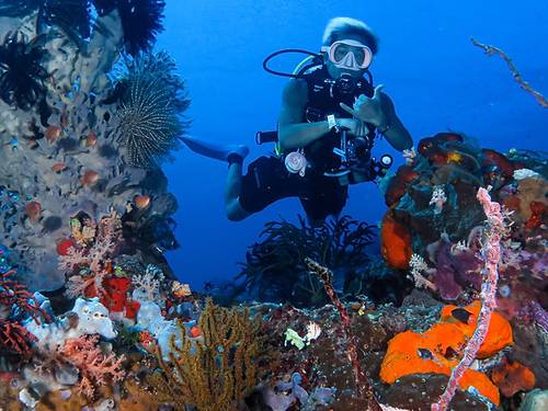 TAGAROA DIVE CENTER