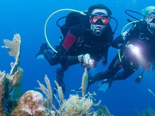 Scuba Roatan