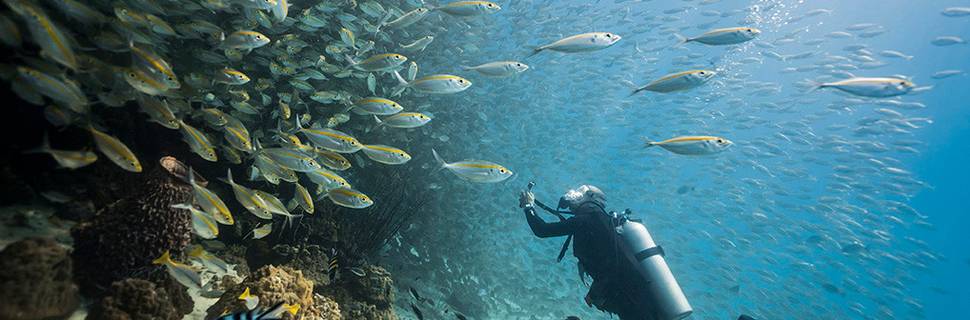 Paradise Divers Koh Kood