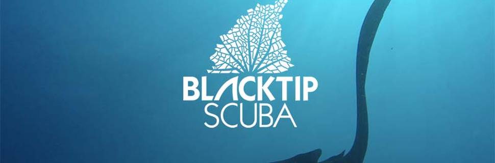 Blacktip Scuba Phi Phi