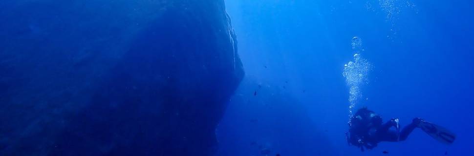 Bubbles Dive Centre