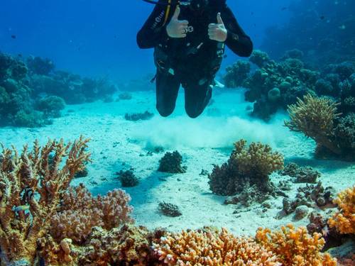 Diamond Red Sea - Diving in Hurghada
