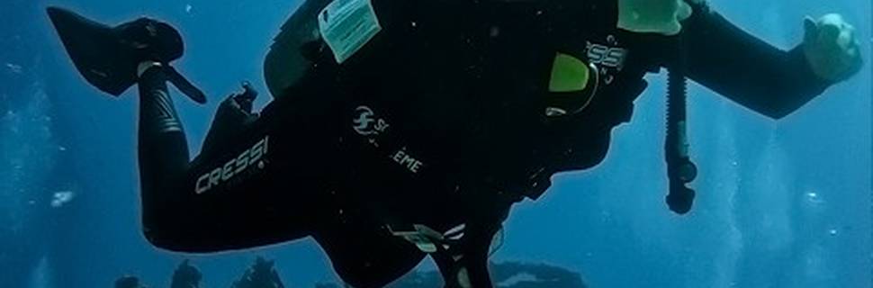 Orca Dive Expeditions
