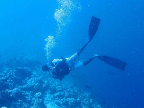 The Nautilus Maldives
