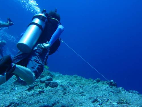 Aquamania