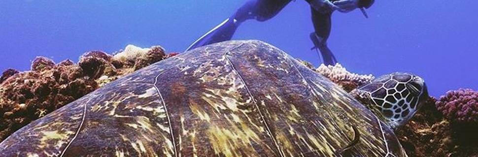 Ocean Spirit Scuba Diving Mauritius