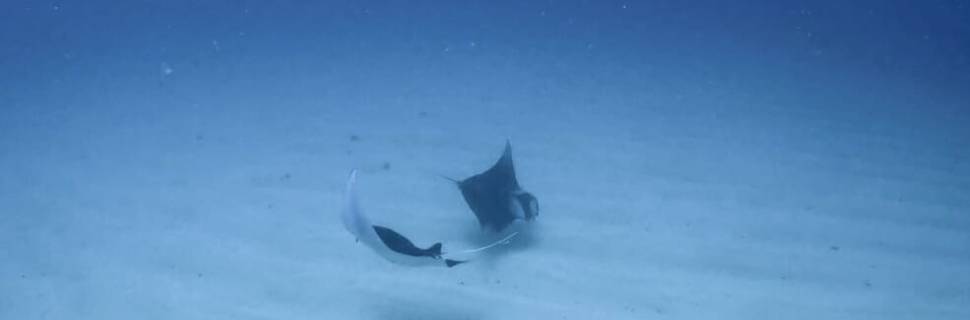 URUMA DIVING CLUB