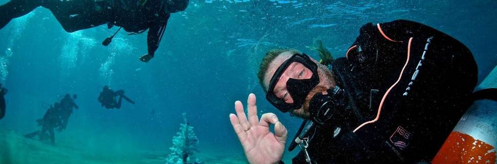 Dolphin Diving Center