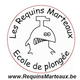 Les Requins Marteaux
