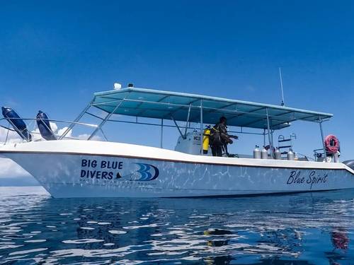 Big Blue Divers
